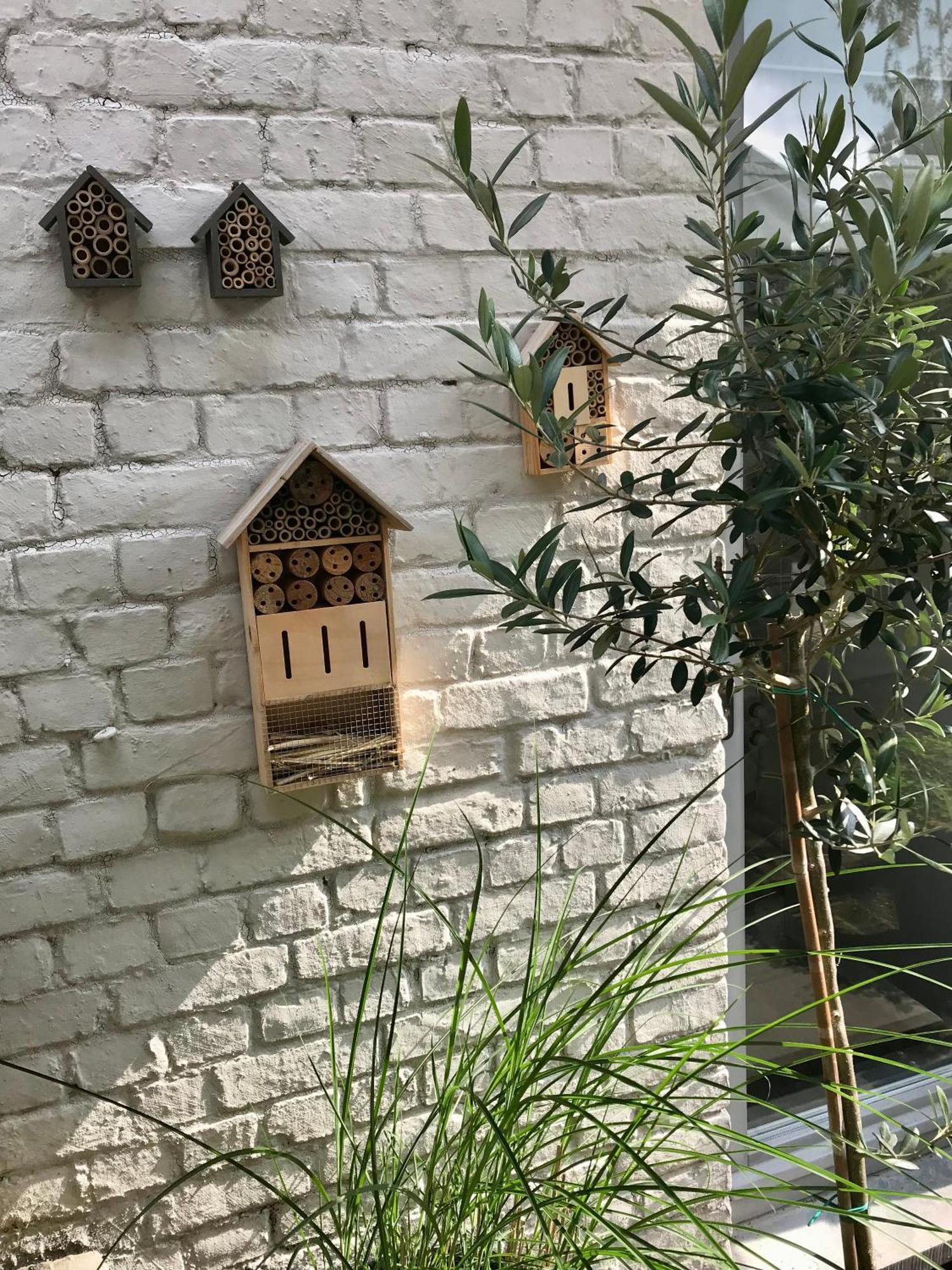 Bed & Breakfast La Ruelle Profondeville